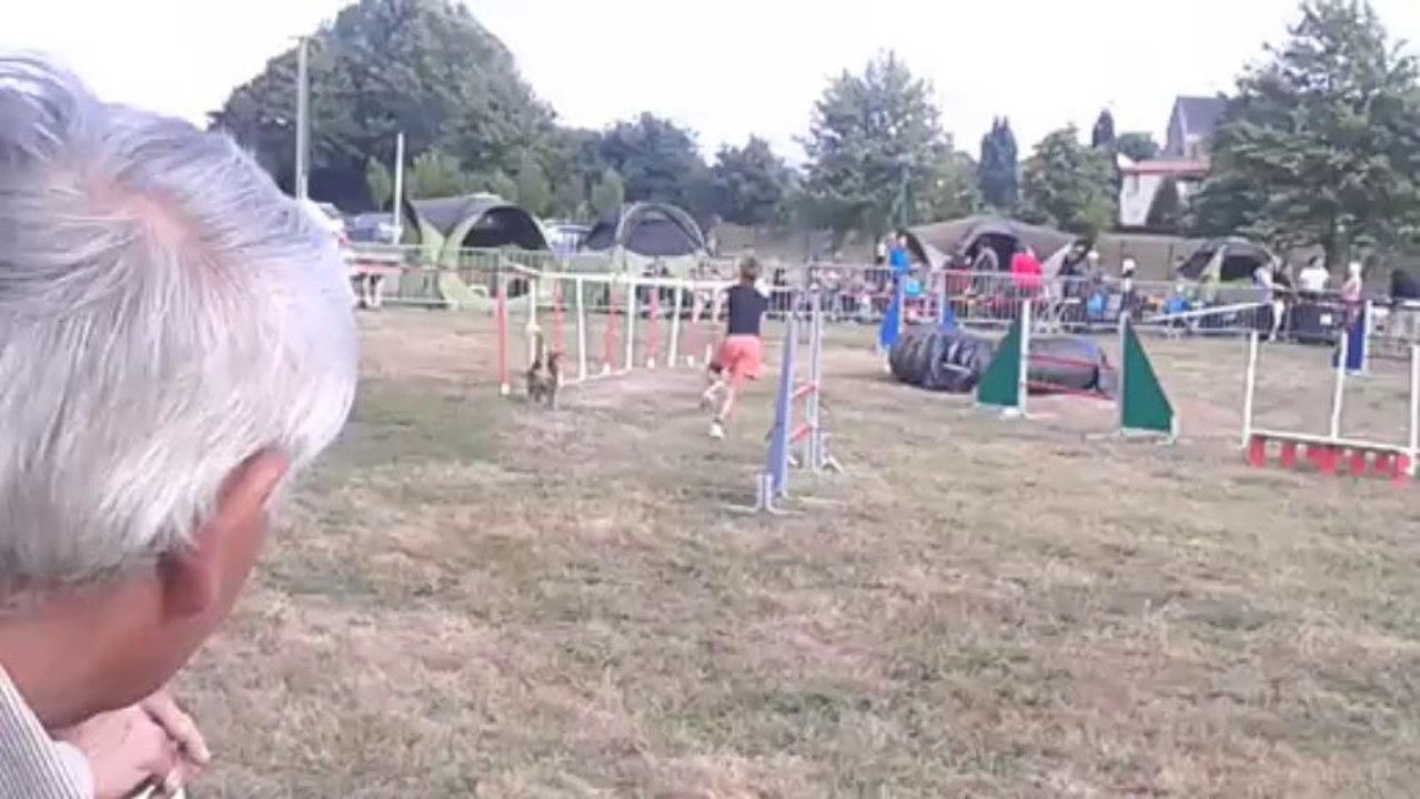 Fever & Tifaine _ Jumping _ St Julien de Concelles _ 15-09-2013