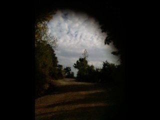 yeliş gözlü canavar