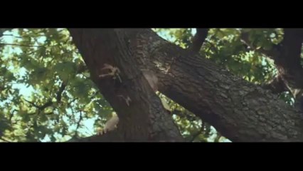 Save the boy - St John Ambulance first aid advert