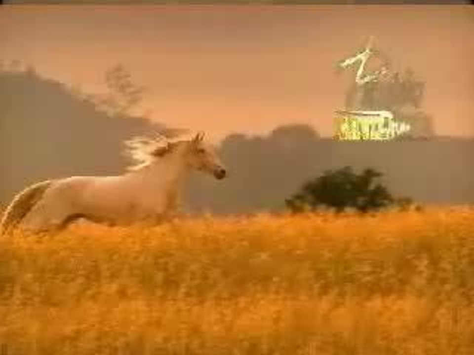 Pasion De Gavilanes 2 Capitulo 33 Completo