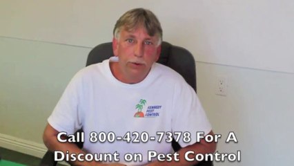 Pest Control San Diego, CA 800-420-7378 | Get Rid of Ants