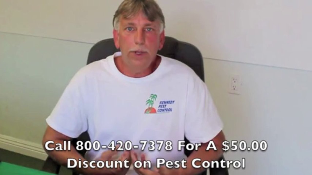 Pest Control San Diego CA 800-420-7378 | How to Battle Fleas
