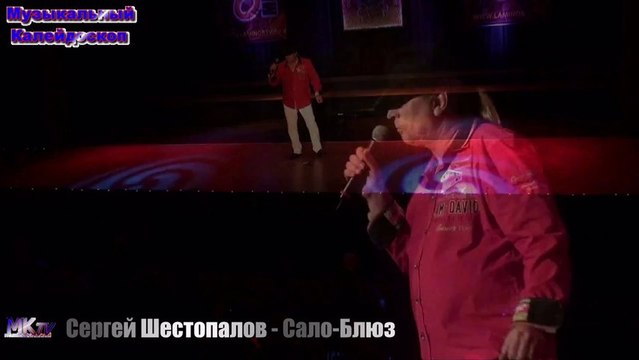 Сергей Шестопалов - Сало-Блюз
