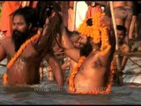 Naga Sadhus or naked Hindu Holy men bathe on the banks of the Ganges river