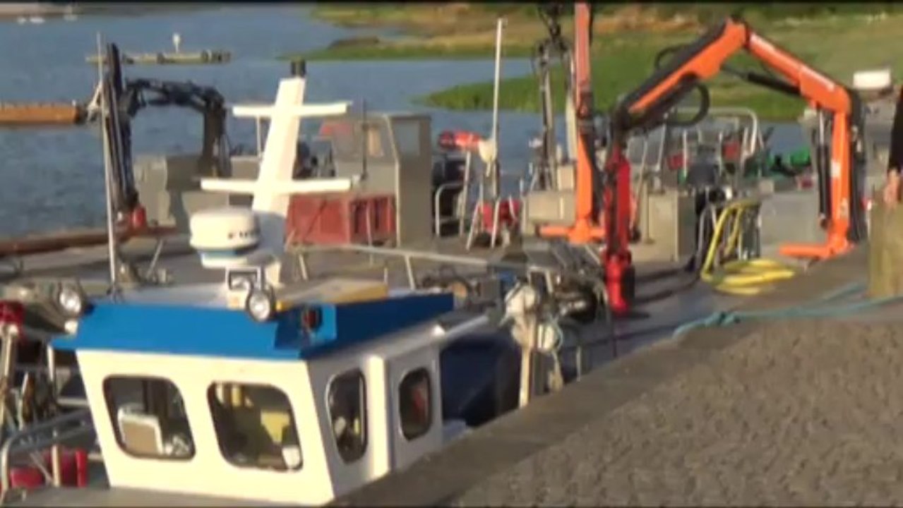 Concours Vidéo 2013-Les demoiselles