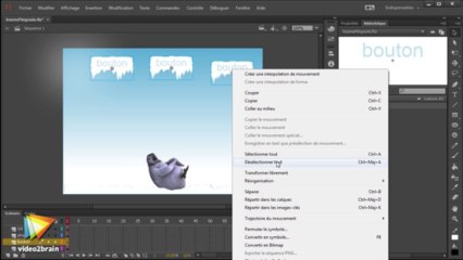 Flash CC : La gestion des symboles