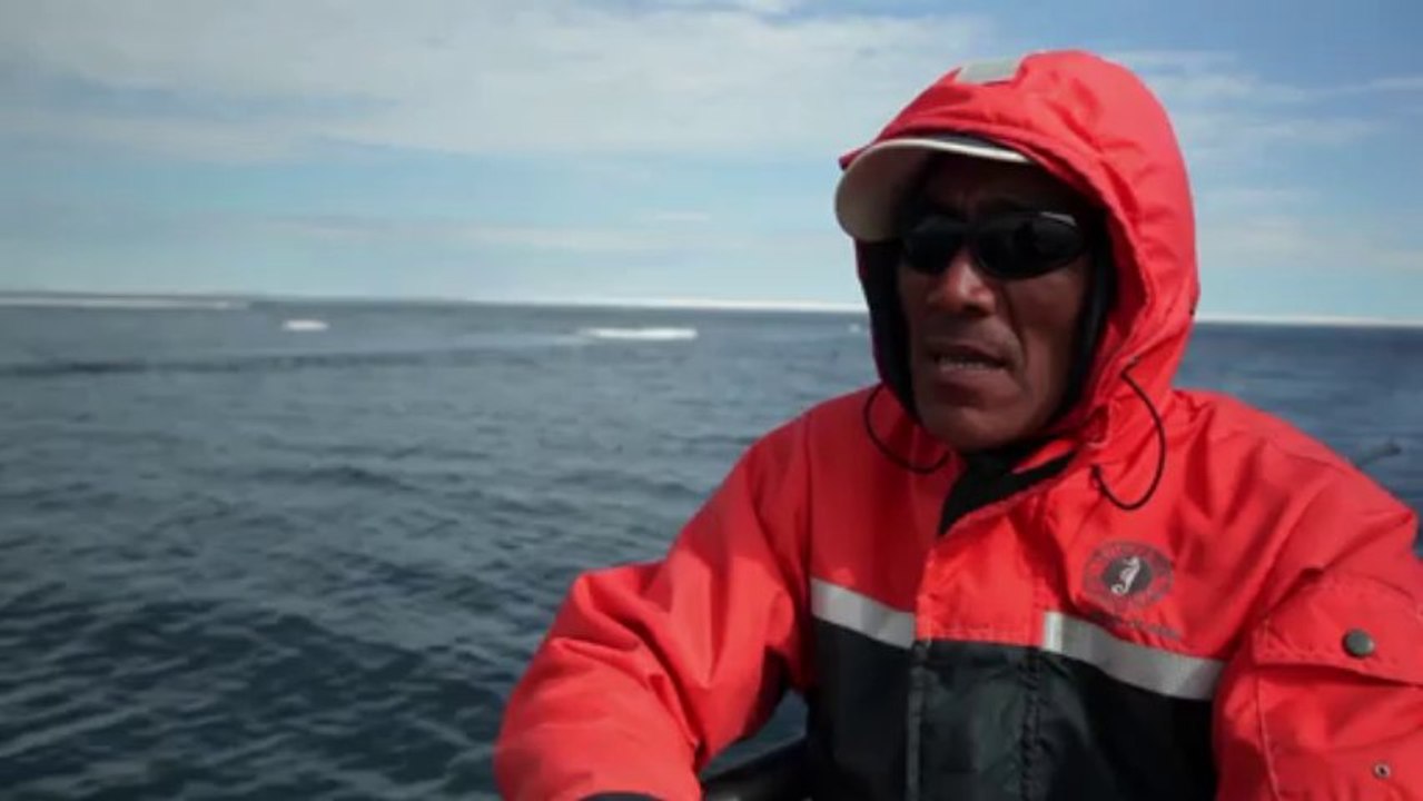 Le retour de la baleine boréale