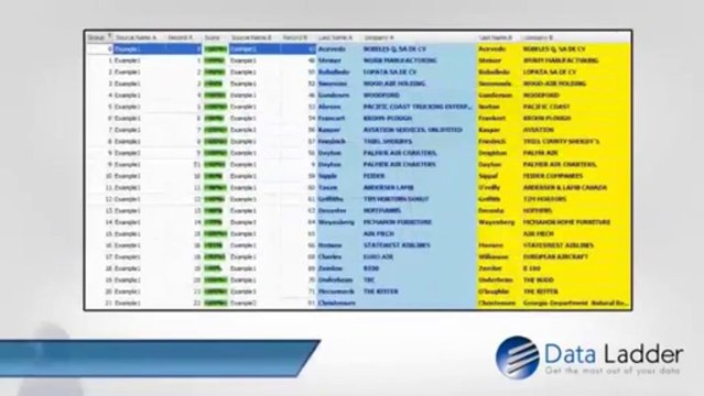 DataMatch- Data Cleansing Software made Affordable and Easy To Use