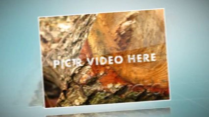 Clean Showcase - After Effects Template