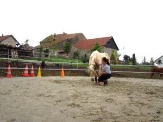 reprise du travail au sol