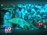 Tv9 Gujarat - Mumbai band composes NaMo anthem