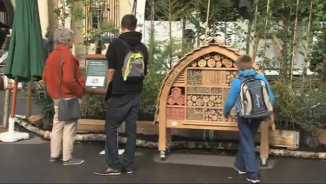 Stéphane Le Foll visite l'exposition Bois et Forêt, le choix nature