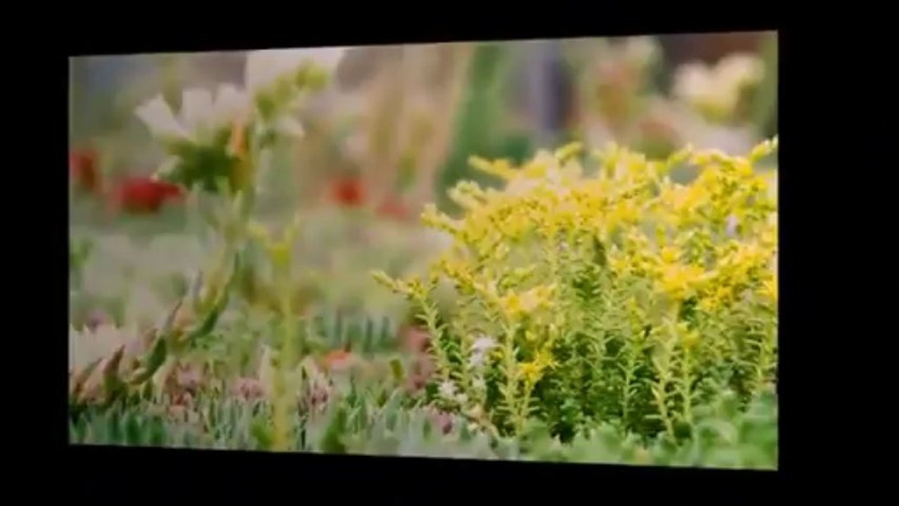 EcoLocker co uk  - Green Roofs -   A stroll through our roof gardens