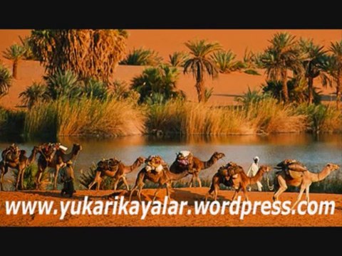 Bakara Suresi - Tefsir Dersleri - 2.Bölüm - Mahmut Toptaş Hoca