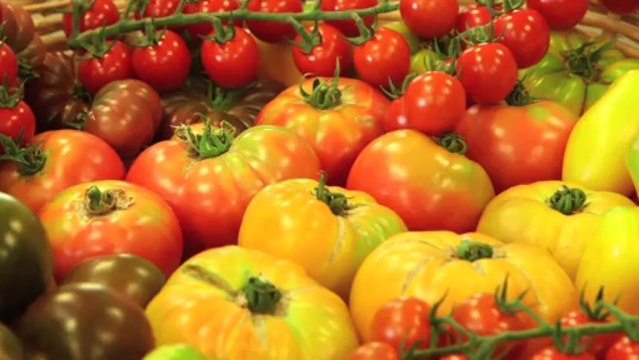 Christian Etienne mitonne les tomates des Paysans de Rougeline