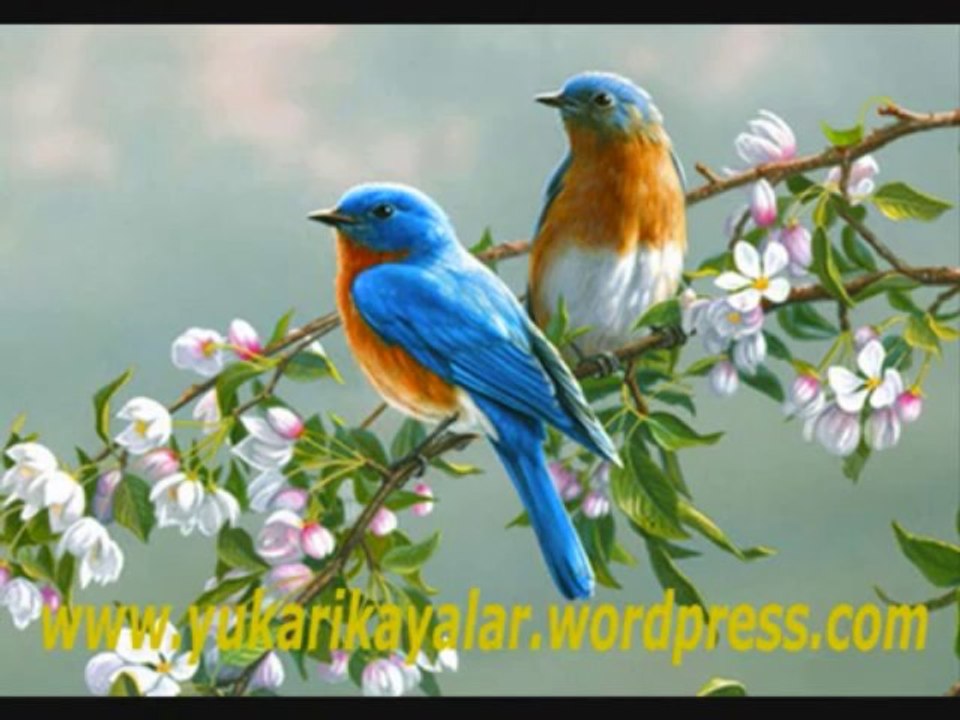 Asr Suresi - Tefsir Dersleri - Mahmut Toptaş Hoca