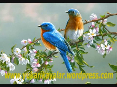 Asr Suresi - Tefsir Dersleri - Mahmut Toptaş Hoca