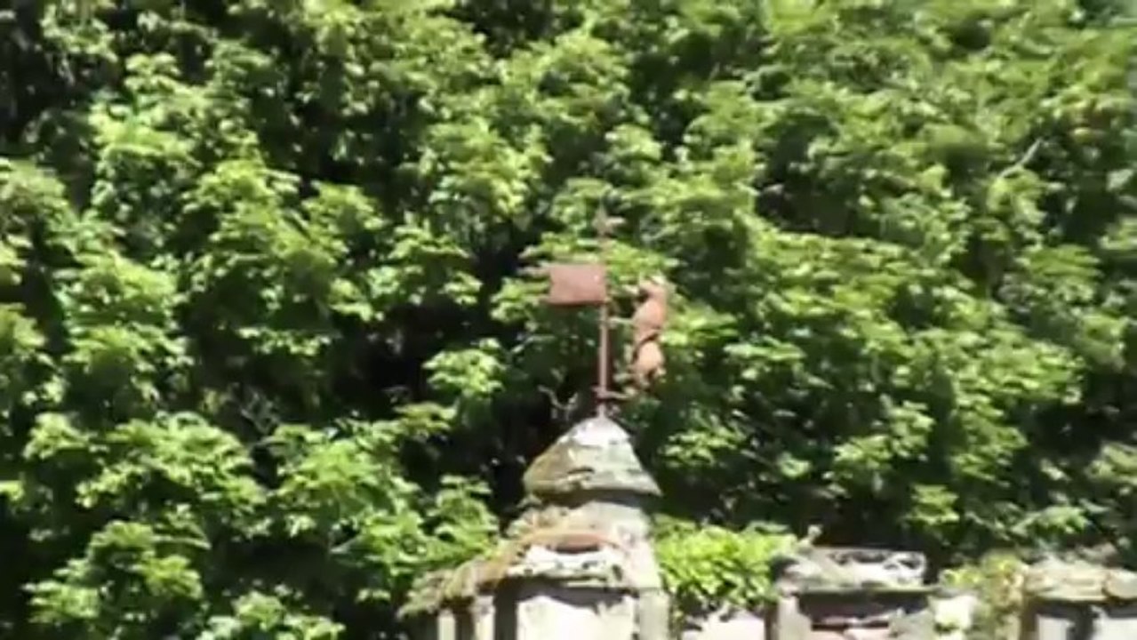 New01.mpg  LA  Rochelambert       Auvergne AOUT 2013 .