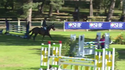 Veryquikstar Fontainebleau 4 ans 04.09.13