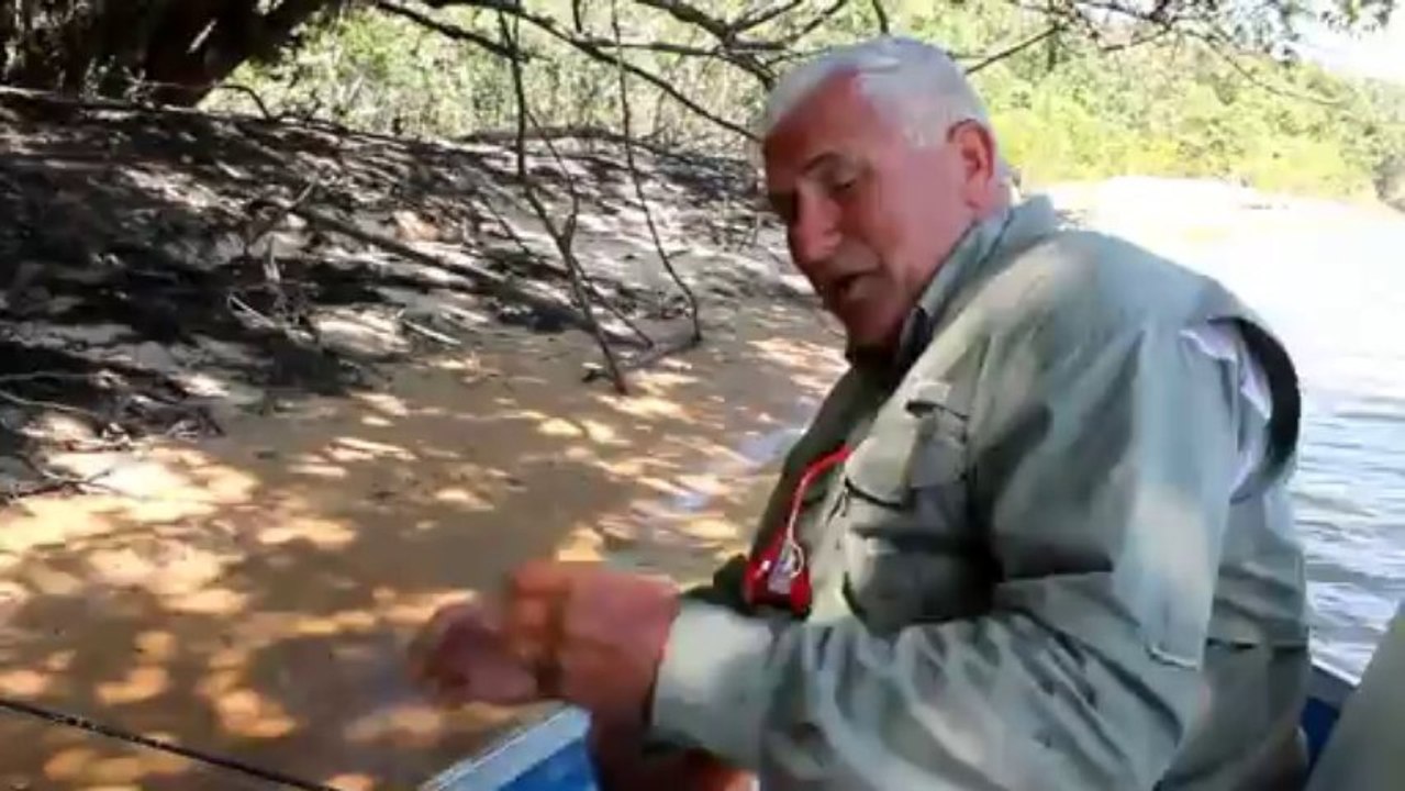 Peacock Bass and Payara fishing in Venezuela