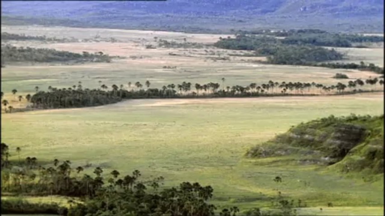 DIE ERBEN DER SAURIER - IM REICH DER URZEIT TEIL5