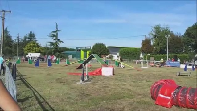 Widget Saint Julien de Concelles 2013