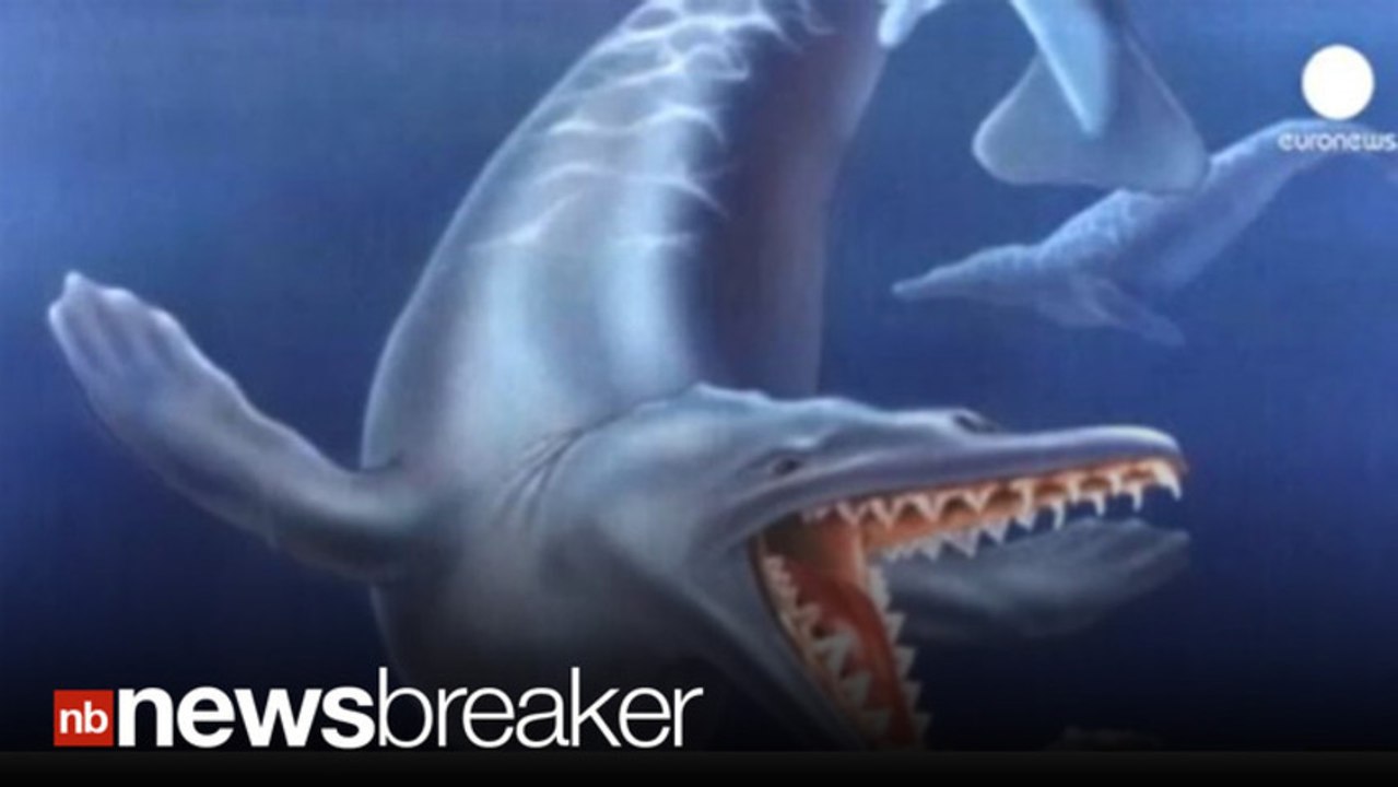 WALKING WHALES?: 40 Million Year Old Fossil Shows Whales Once Had Legs!