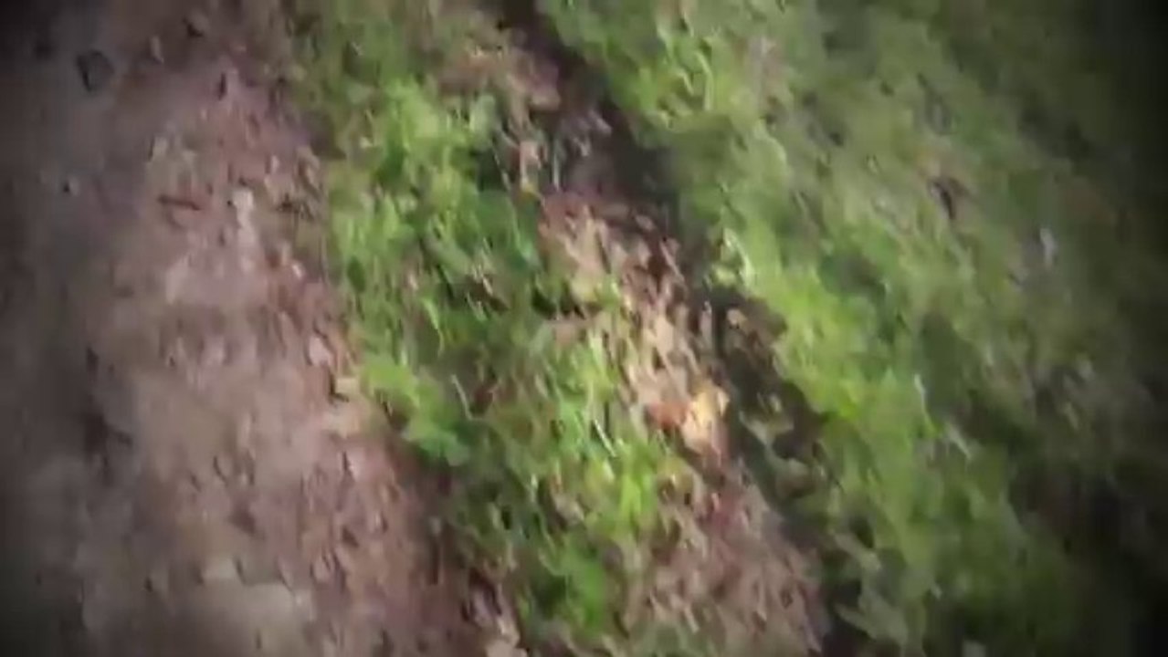 the shadow of your passing by michael hermiston (original)