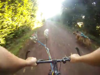 cani vtt footbike