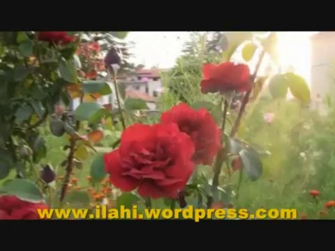 İlahi - Allah'ım & Gel Gidelim - Mesut Çelik - Müziksiz İlahiler