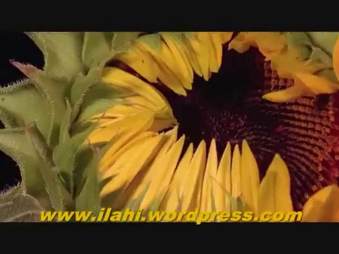 İlahi - Aman Allah - Grup Hanedan - Müziksiz İlahi