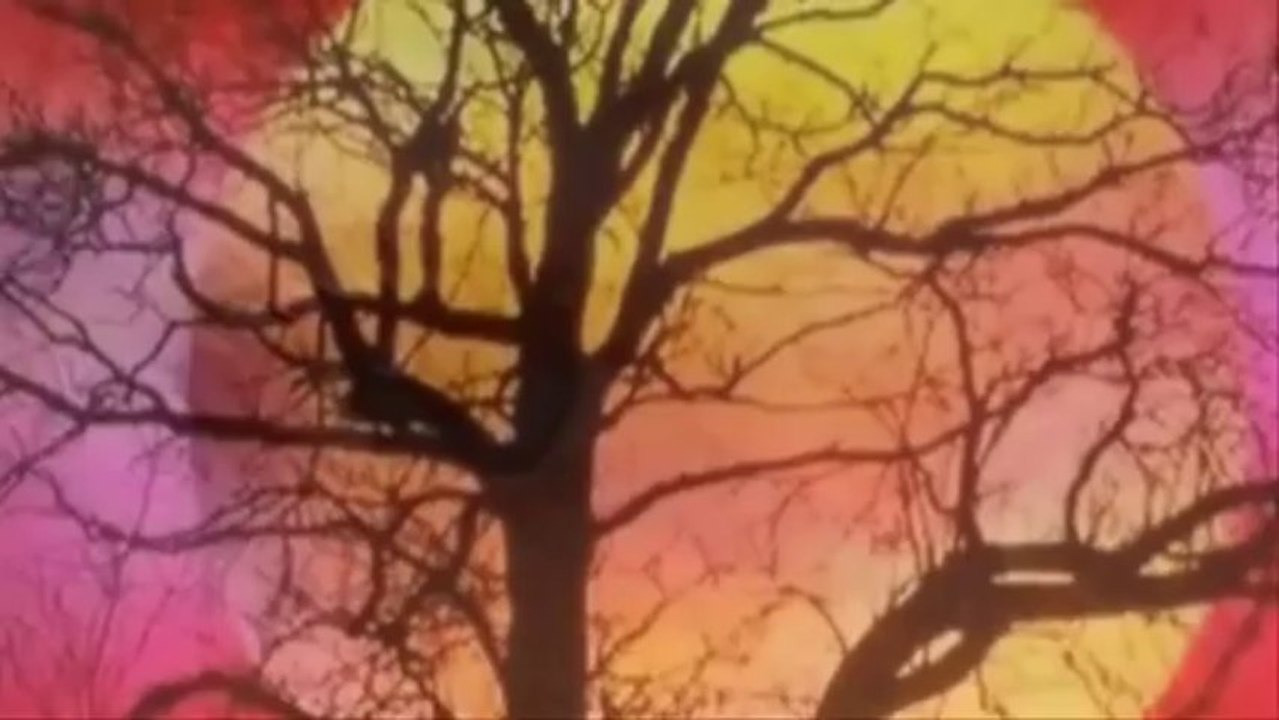 Sefa Topsakal   Unut Gitsin