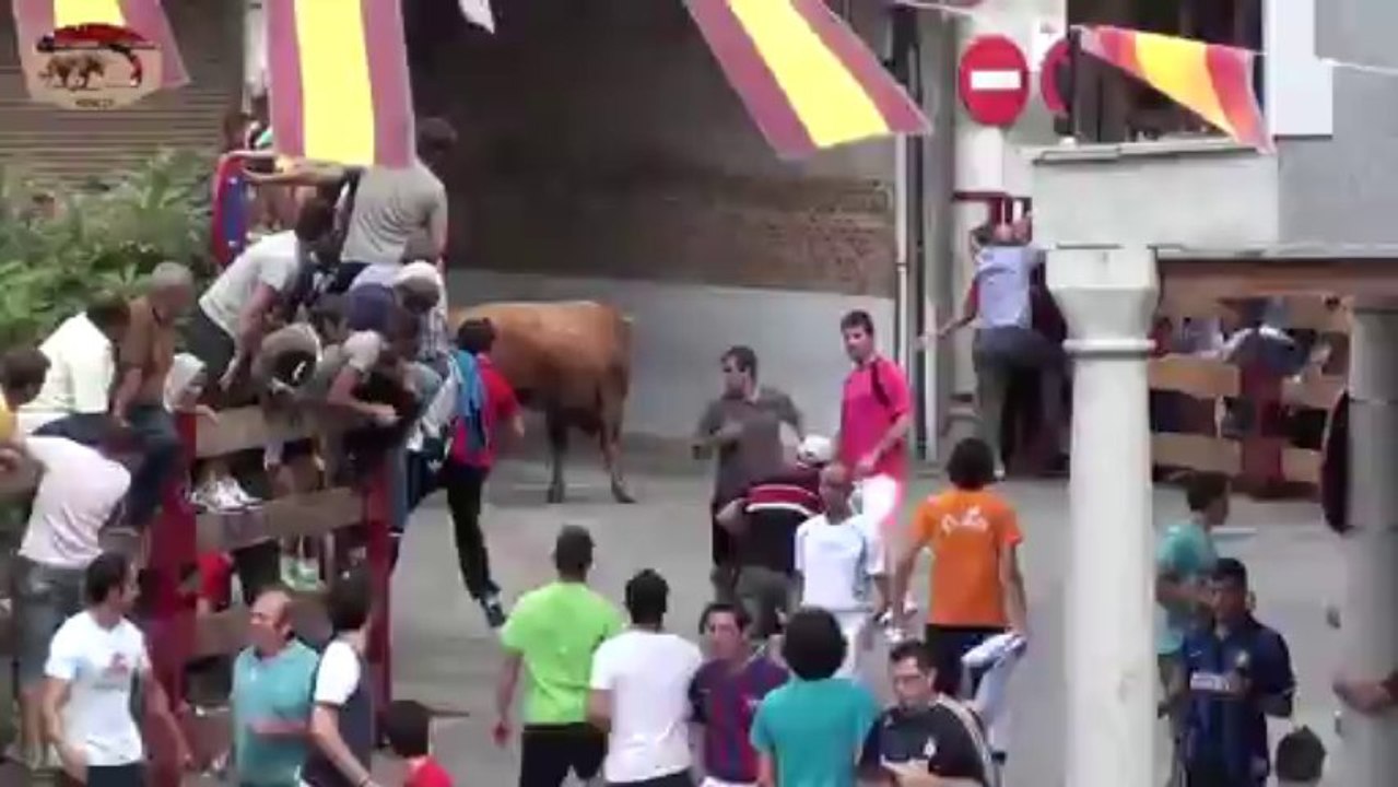ENCIERRO DE CASARRUBIOS 2013