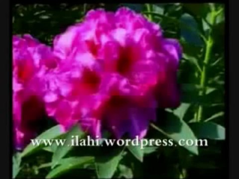 Hz. Musa Ve Hz. Harun Peygamberler Tarihi - CD 1