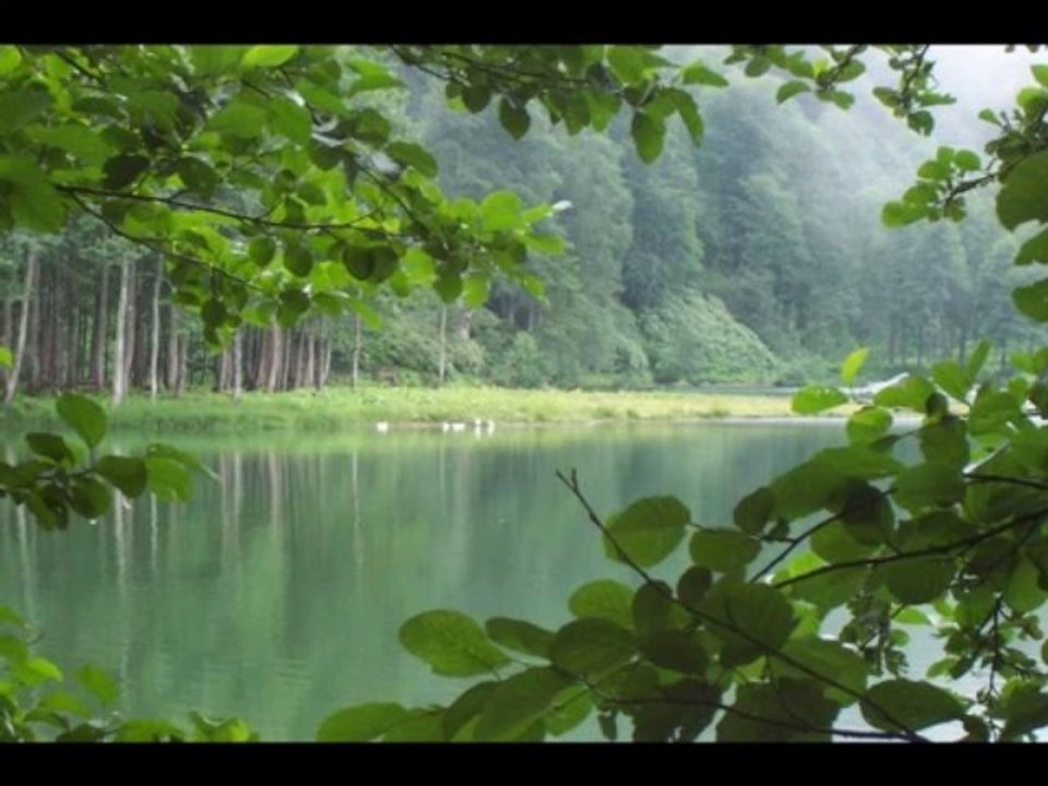 Levlake levlak (sen olmasaydın) uydurması üzerine...