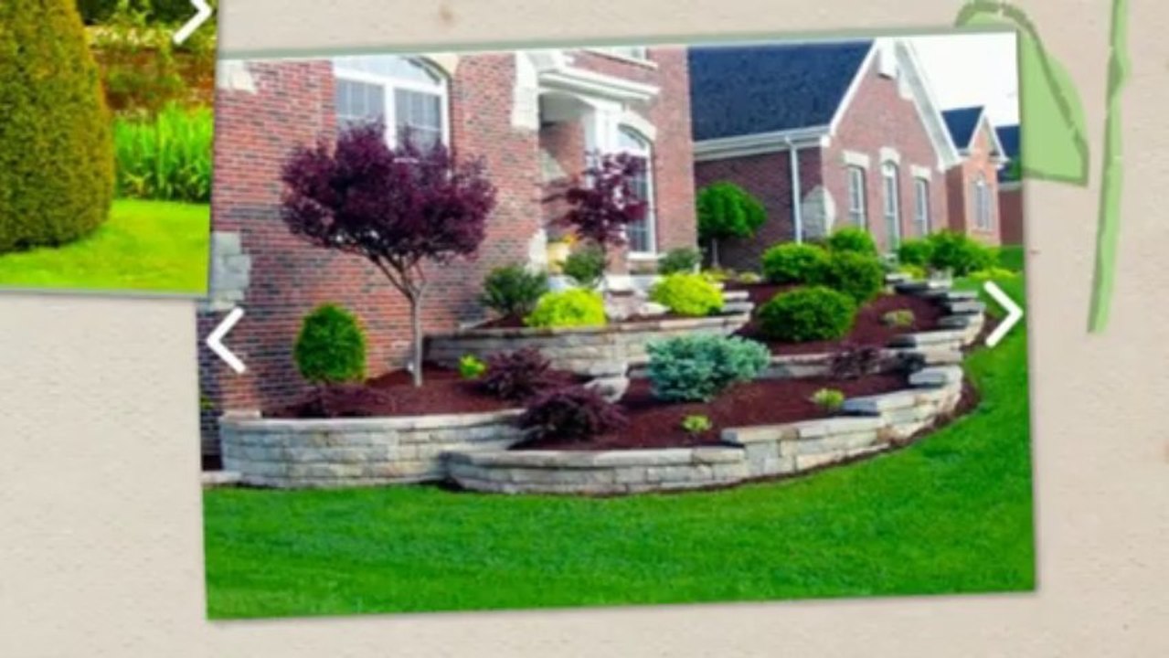 Landscaping Plants