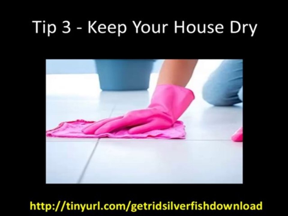How To Get Rid Of Silverfish - 5 Easy Tips