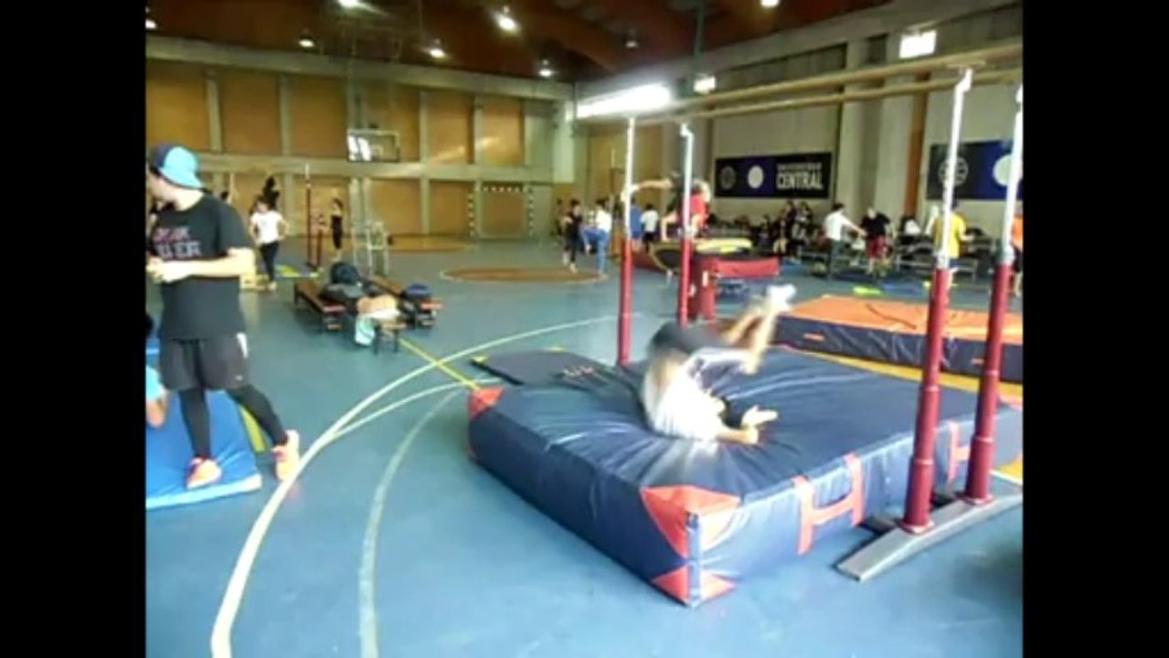 proyecto gimnasia AVI
