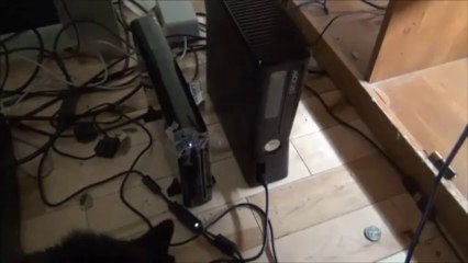 Las travesuras del senor gato Odia la Wii U