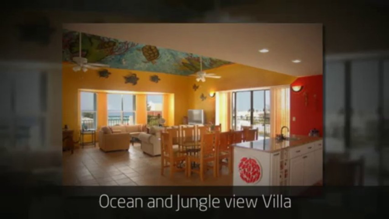 Short and Long term Home Cozumel MexicoCabin Rentals video Dailymotion