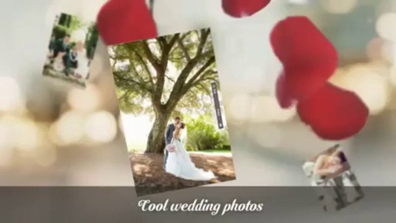 Wedding picture galleries