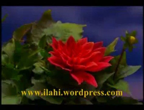 İLAHİ Durma Deli Gönül Durma Seyfeddin Alkan Hocaefendi