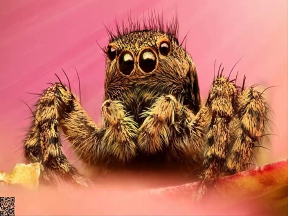 FOTOĞRAF GRUBU 24.SAAT İSİMİLİ FOTOĞRAF YARIŞMASINDA GÜNÜN BİRİNCİSİ OLMUŞ FOTOĞRAFLAR.2