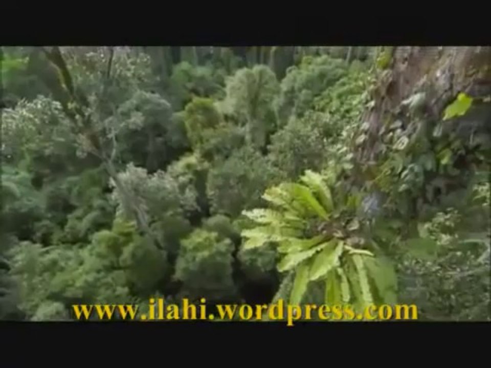 İLAHİ - Efendimin Dügünü Var Cennette Cennette - Müziksiz ilahi