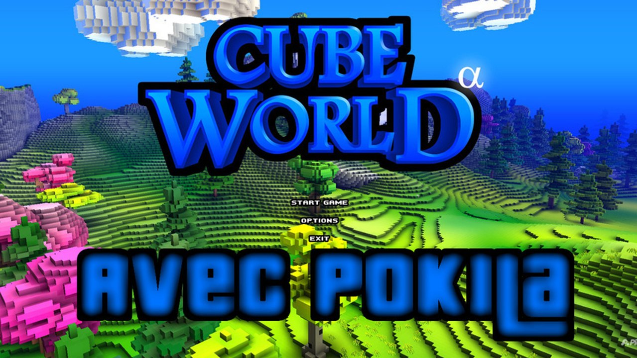Cube World | avec Pokila