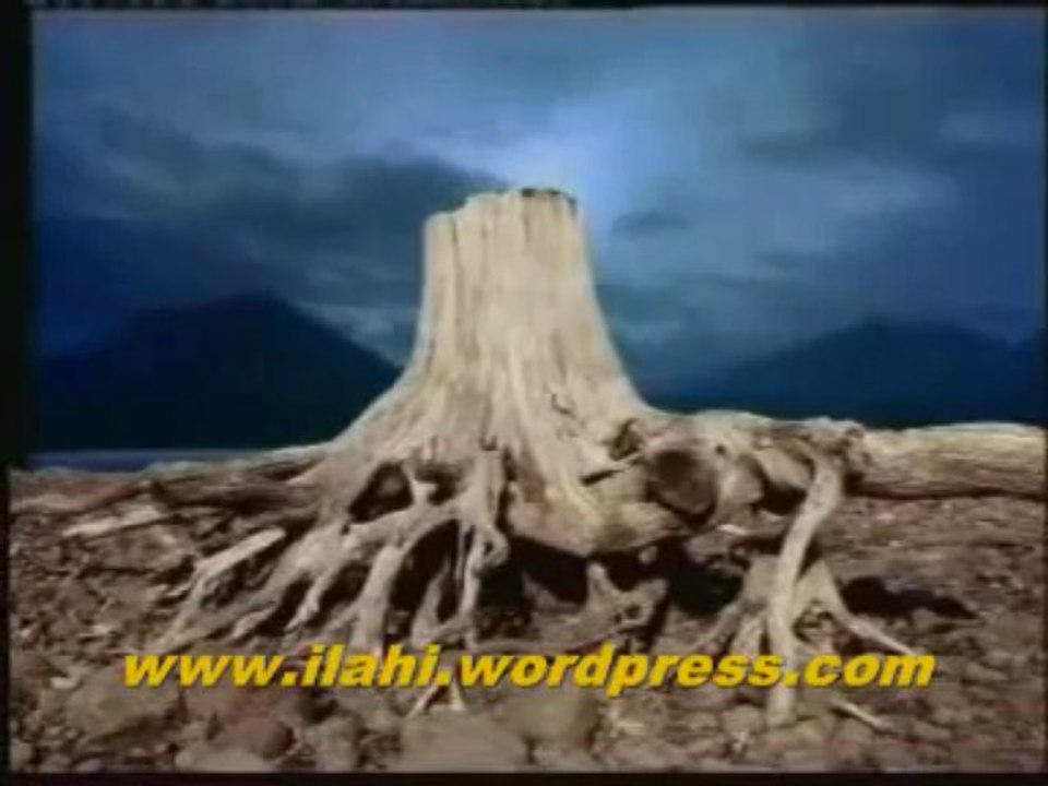 İlahi - Günün birinde -  Cemal Kuru