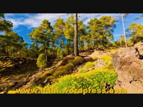 İlahi - Güzel Bir Kaside - Mehmet Yetkin - Müziksiz ilahi