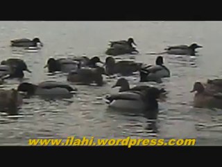 İLAHİ - Kainatı Döndüren - Amir Ateş