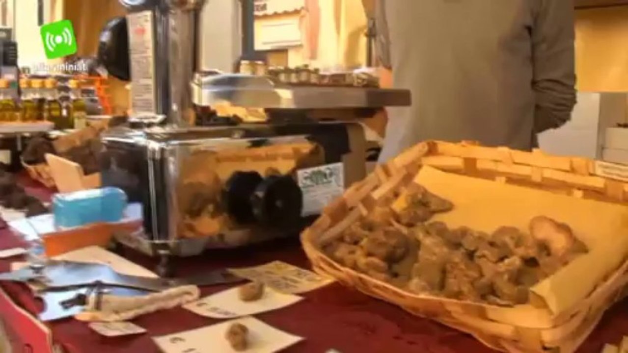Torna a Sant'Agata Feltria la Fiera Nazionale del Tartufo Bianco Pregiato