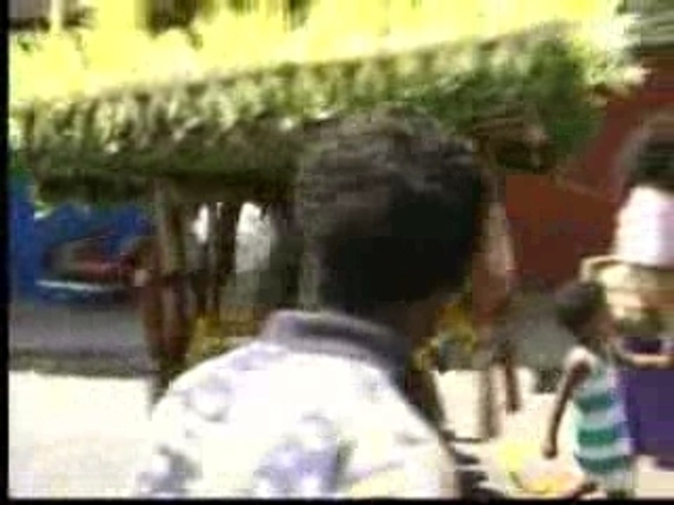 ile maurice - Mauritius Life